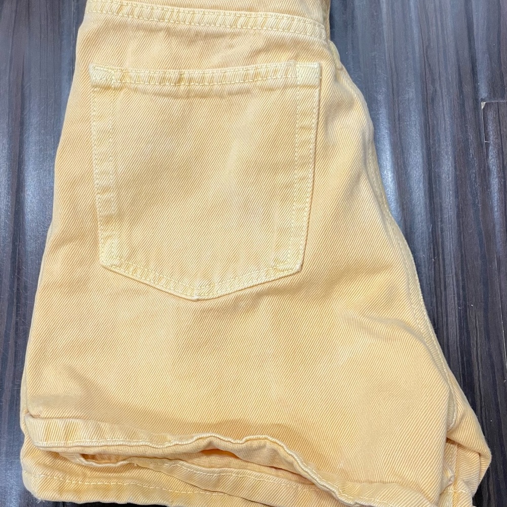 Zara Shorts